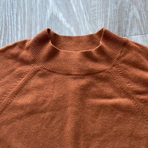 Everlane Mockneck Cashmere Sweater